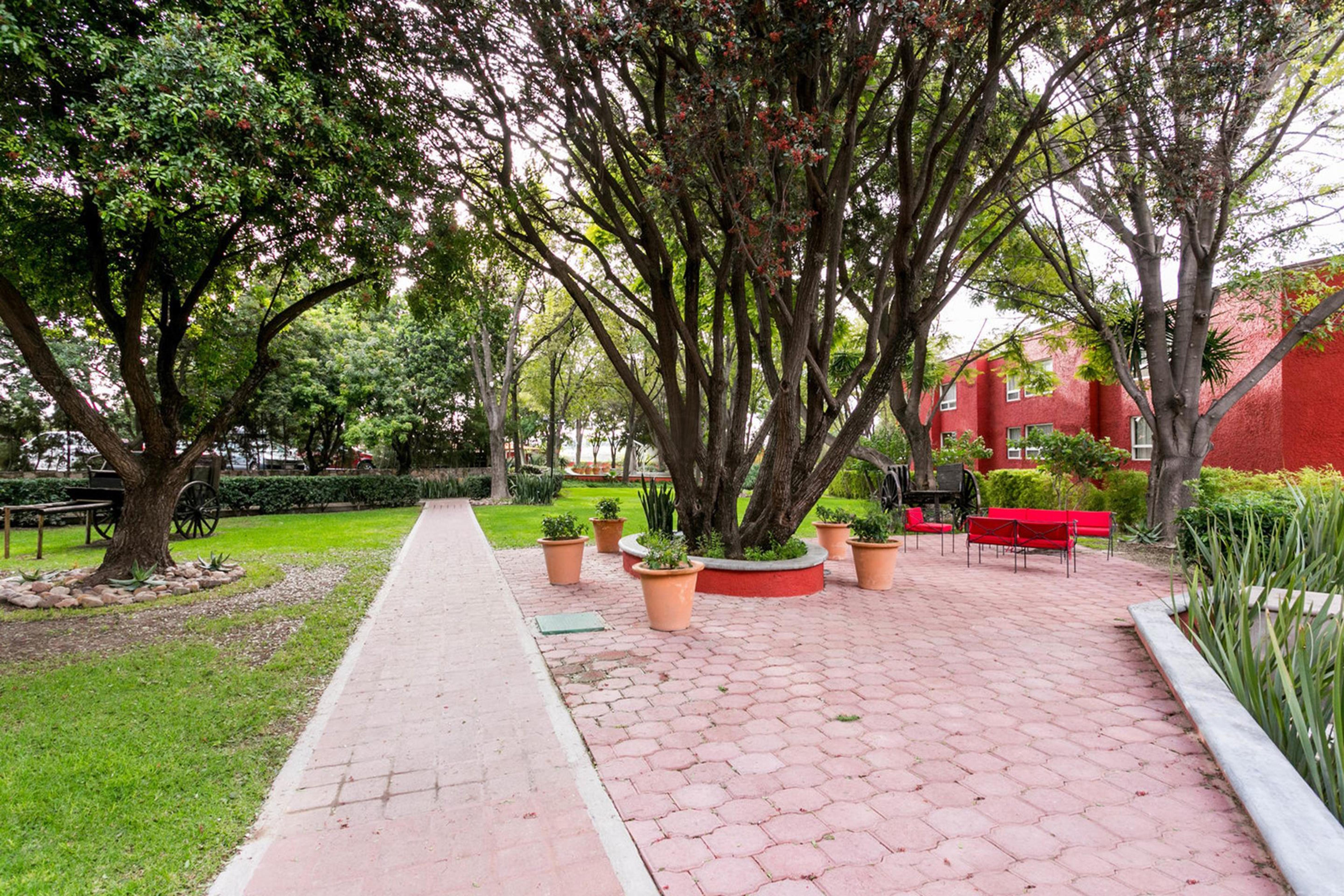 瑞尔德米纳斯酒店 圣米格尔－德阿连德 外观 照片 Plaza de las Tres Culturas