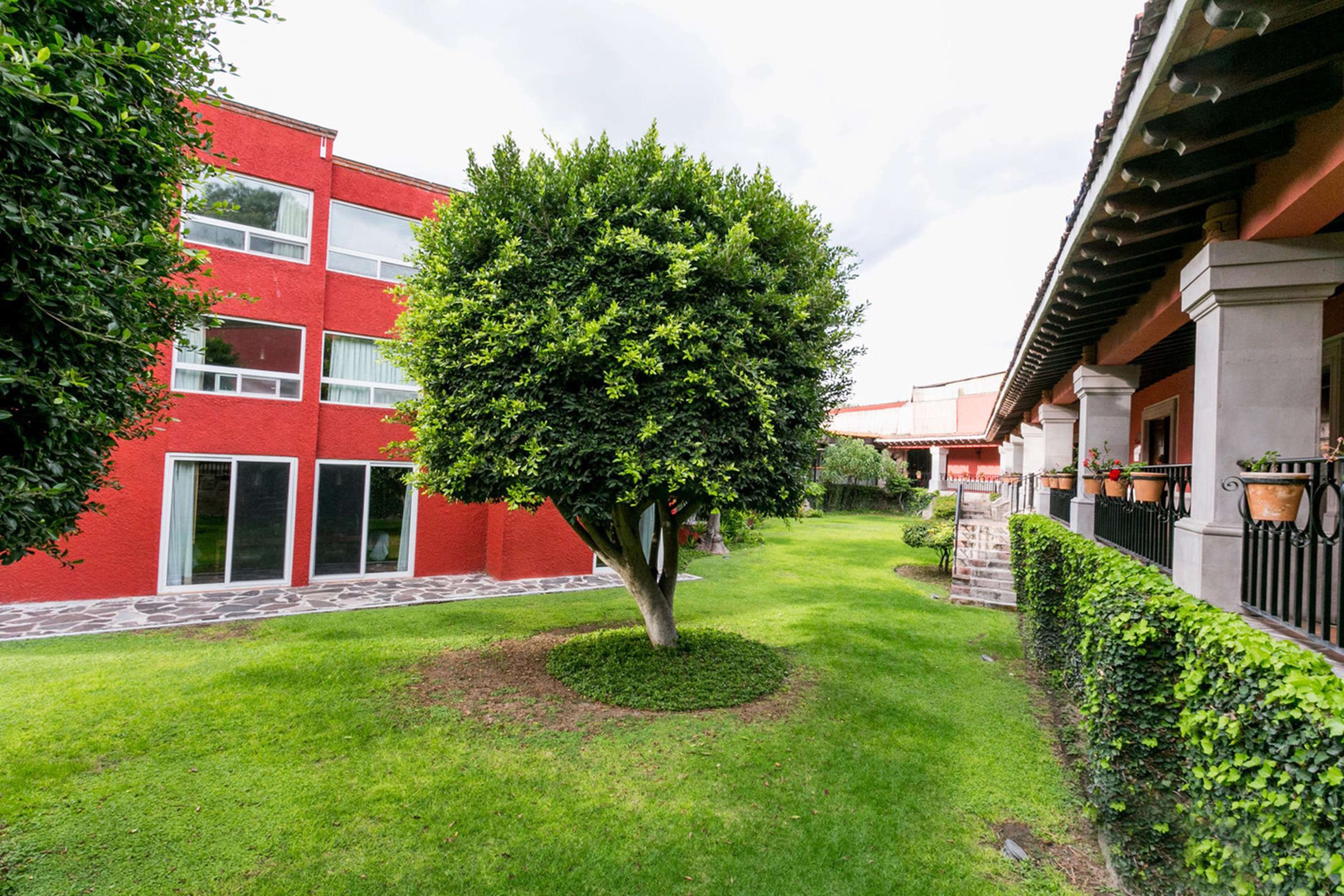 瑞尔德米纳斯酒店 圣米格尔－德阿连德 外观 照片 Campus de la Universidad Autónoma de La Laguna