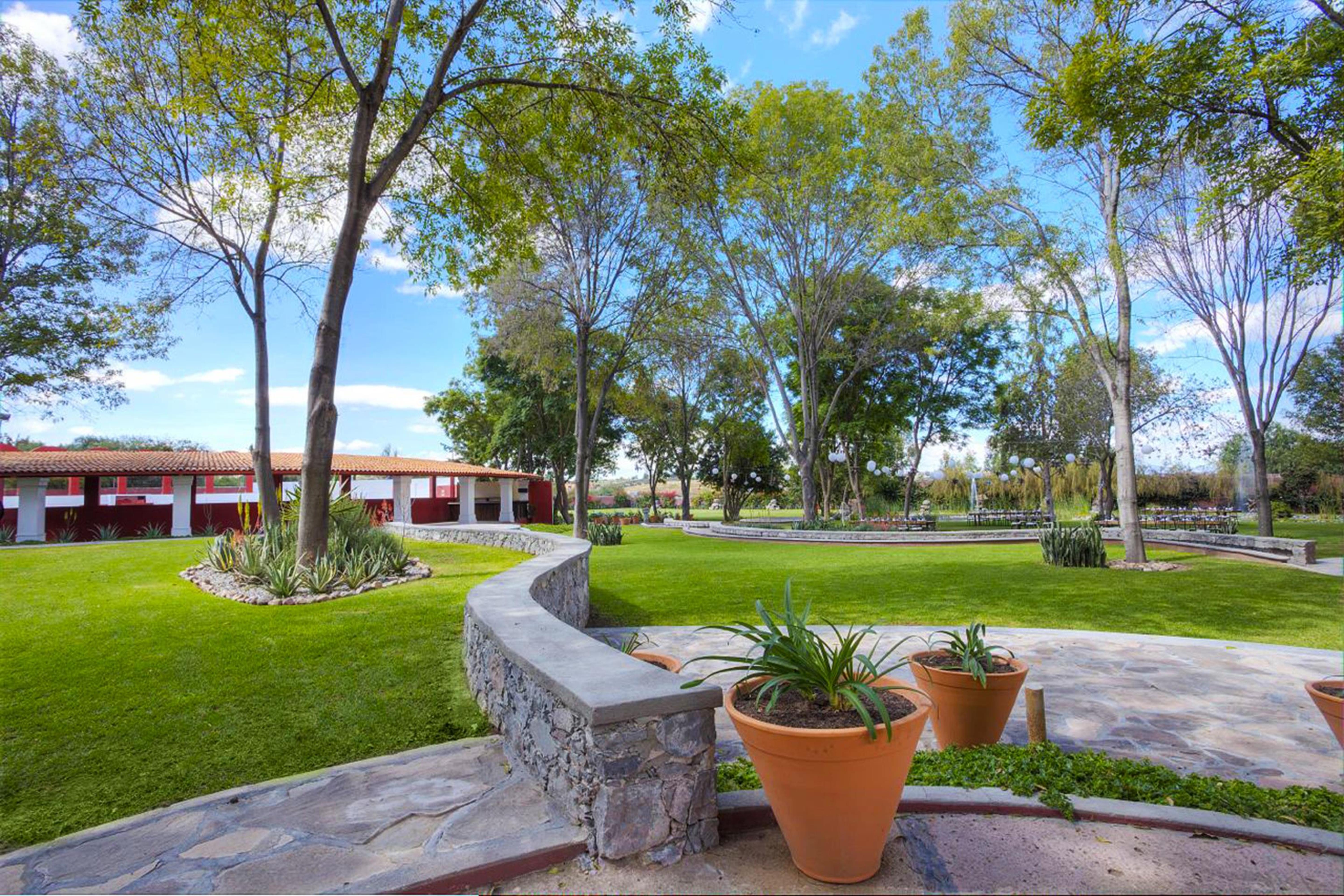 瑞尔德米纳斯酒店 圣米格尔－德阿连德 外观 照片 View of the main square in San Marcos