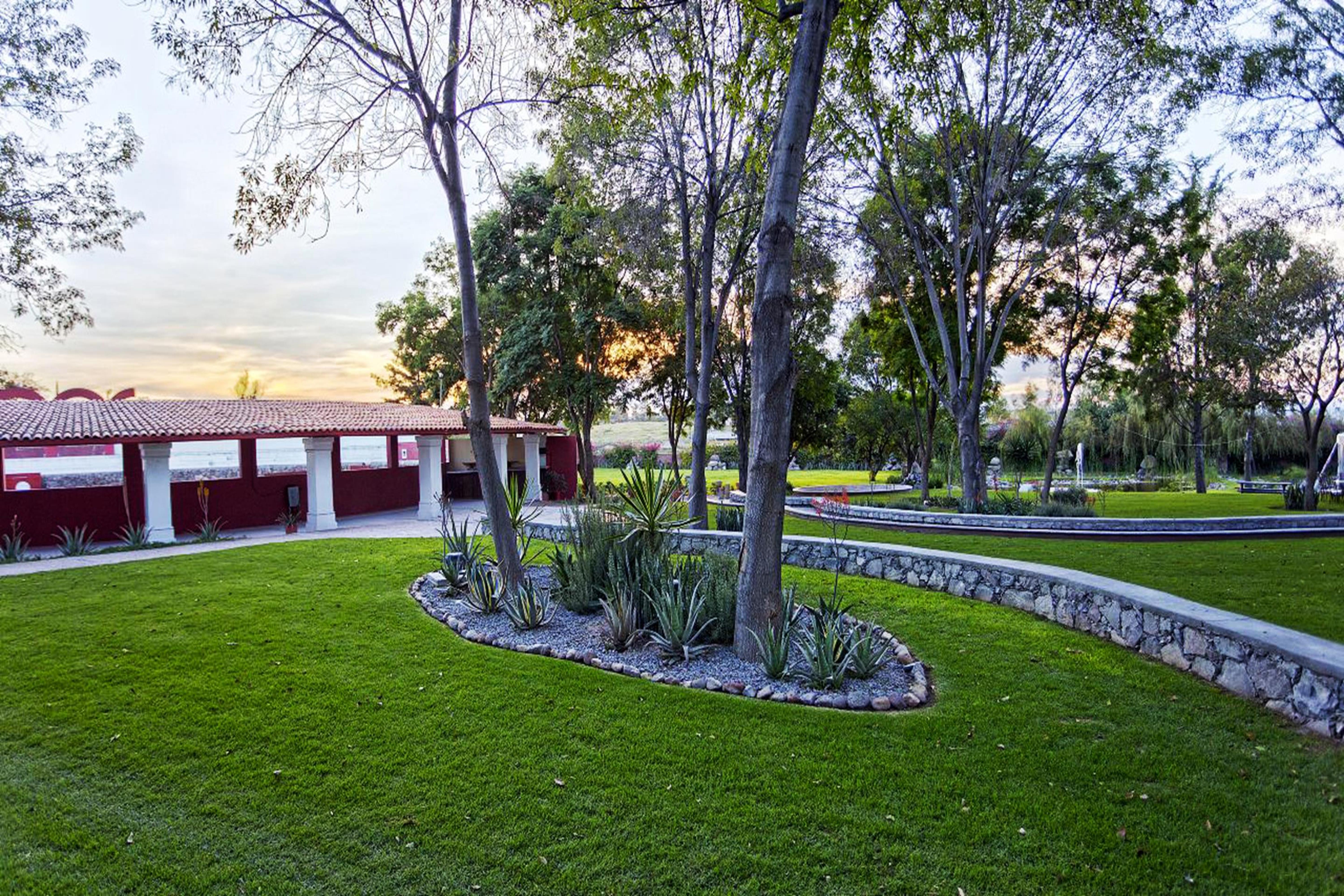 瑞尔德米纳斯酒店 圣米格尔－德阿连德 外观 照片 View of the park