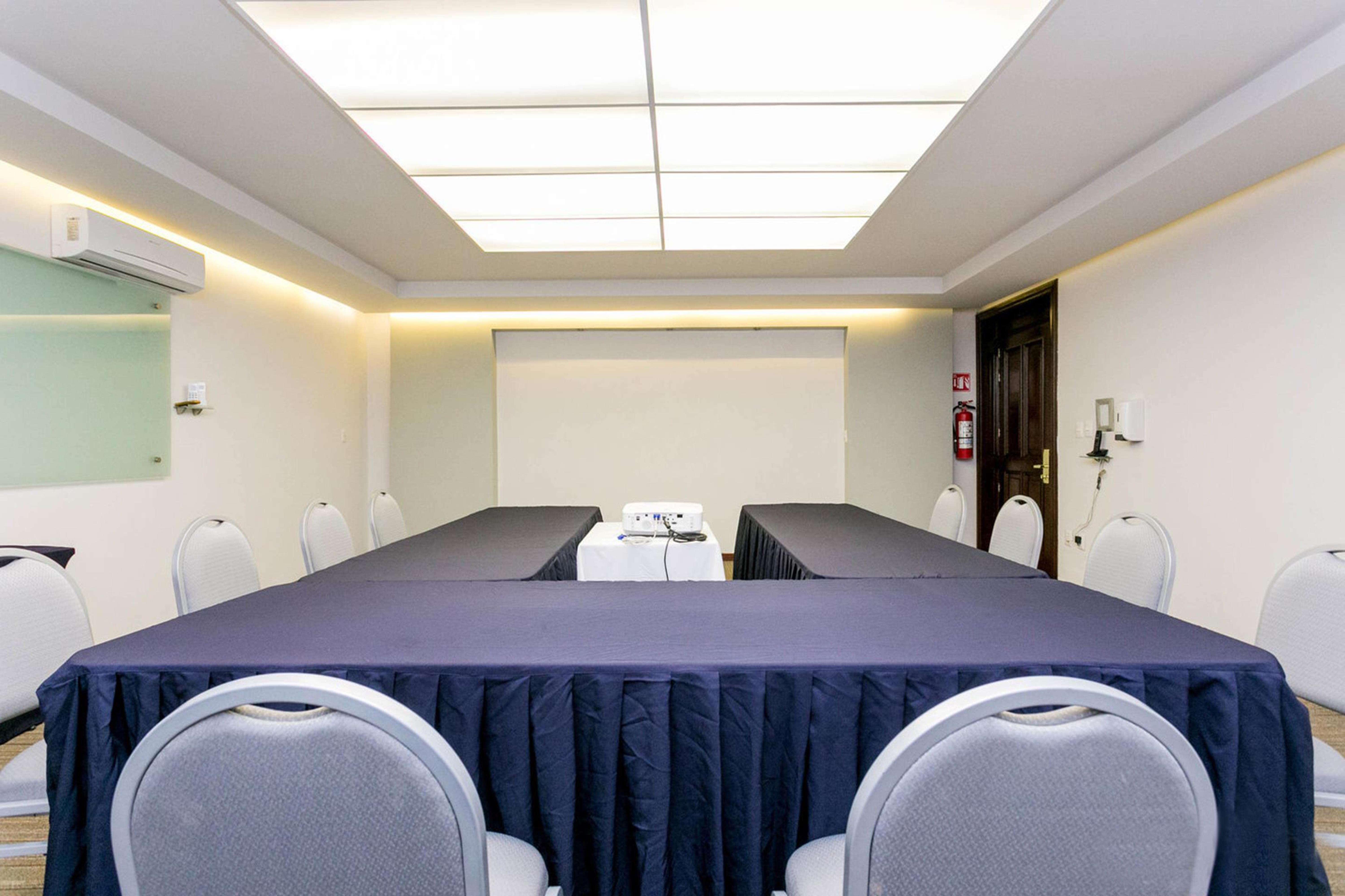 瑞尔德米纳斯酒店 圣米格尔－德阿连德 外观 照片 Meeting room