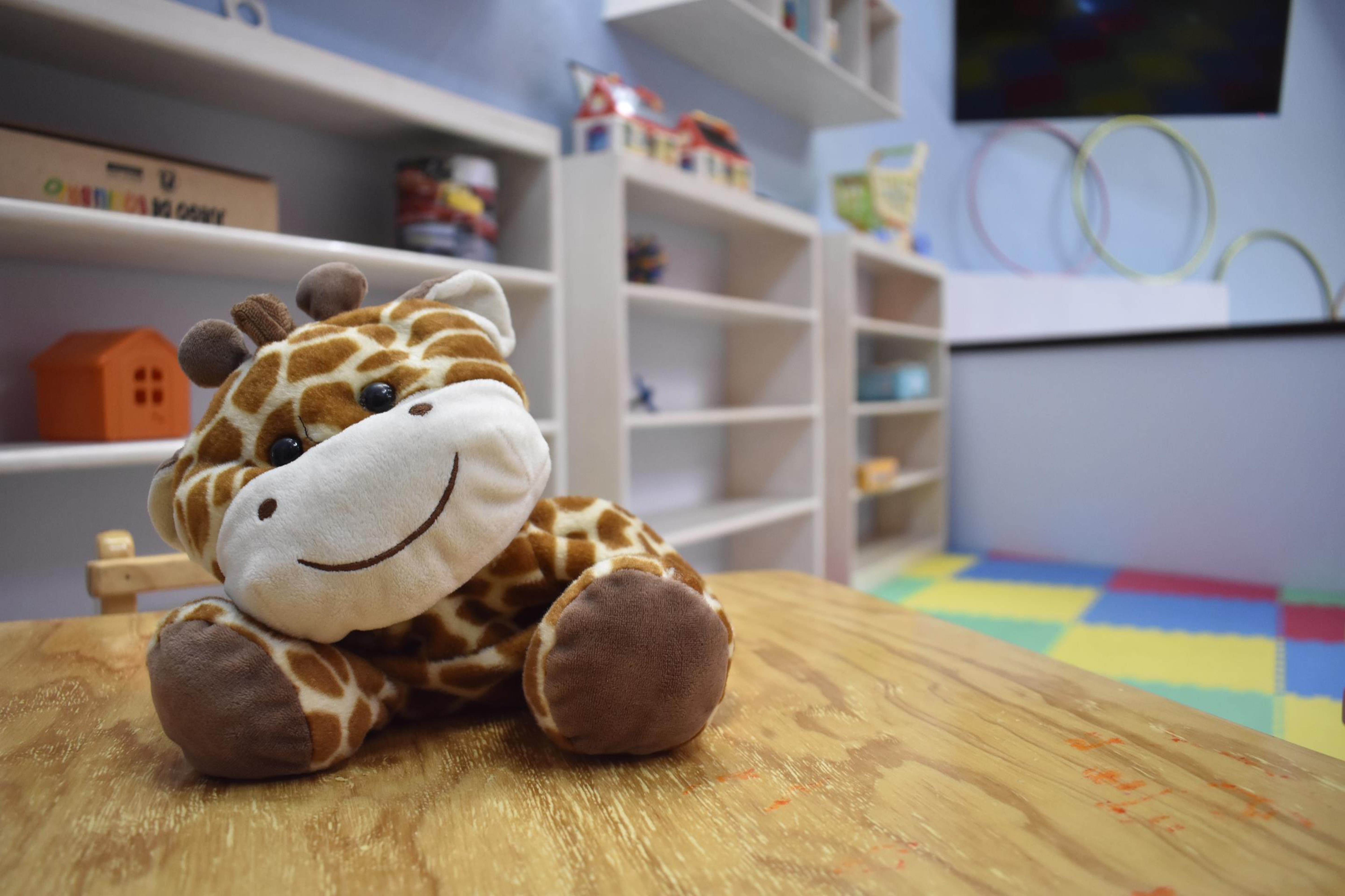 瑞尔德米纳斯酒店 圣米格尔－德阿连德 外观 照片 A stuffed toy