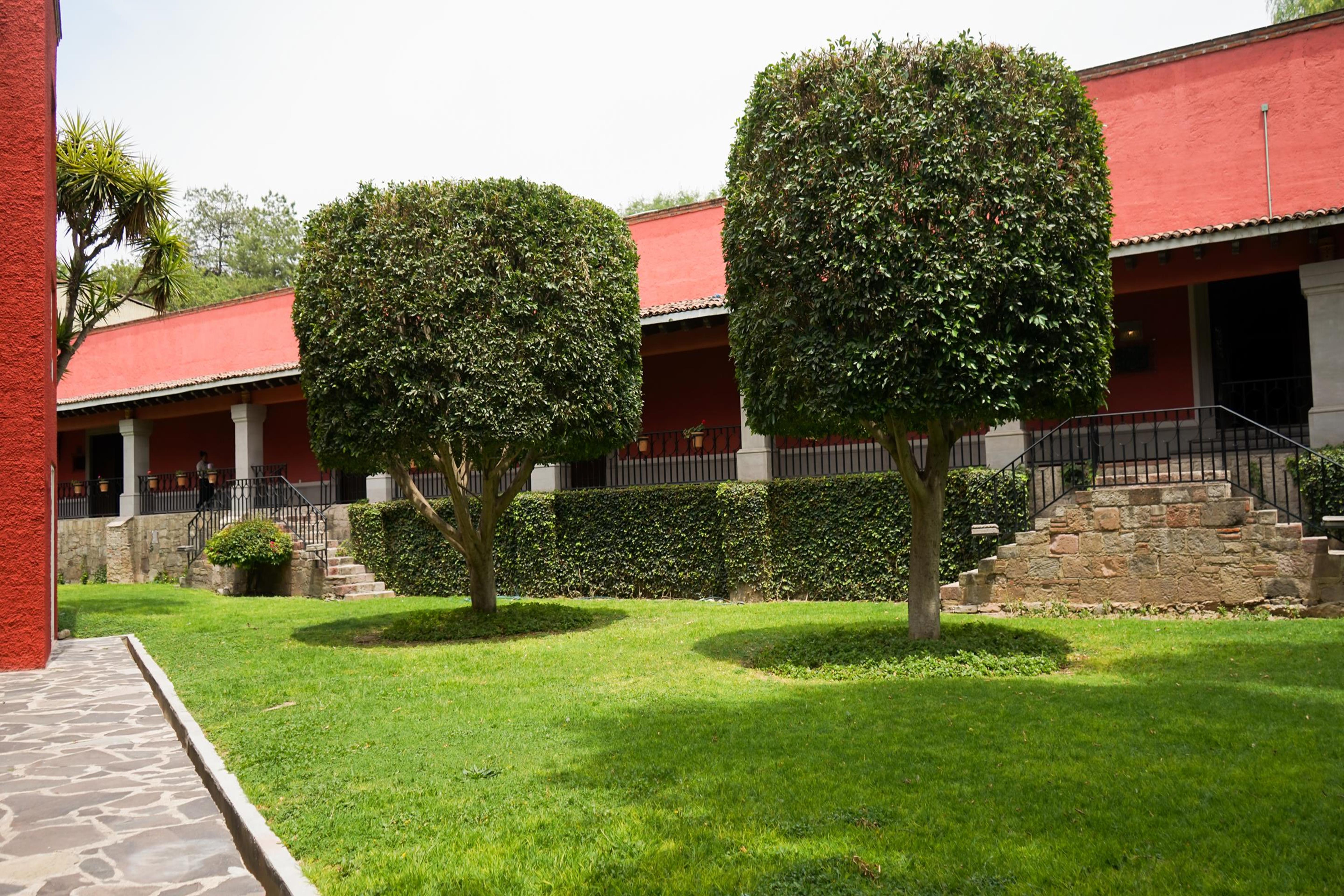 瑞尔德米纳斯酒店 圣米格尔－德阿连德 外观 照片 Hacienda San José de San Miguel
